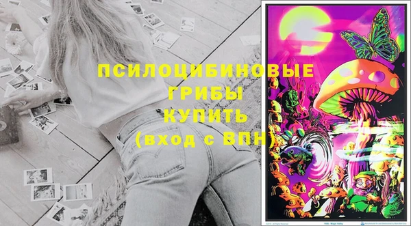 круглые Заводоуковск