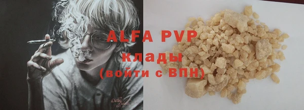 PSILOCYBIN Заволжье