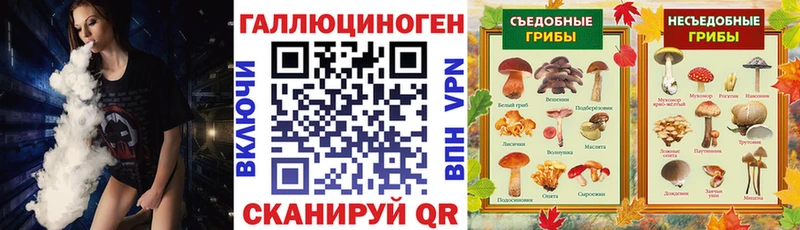 Галлюциногенные грибы Psilocybe  Инта 